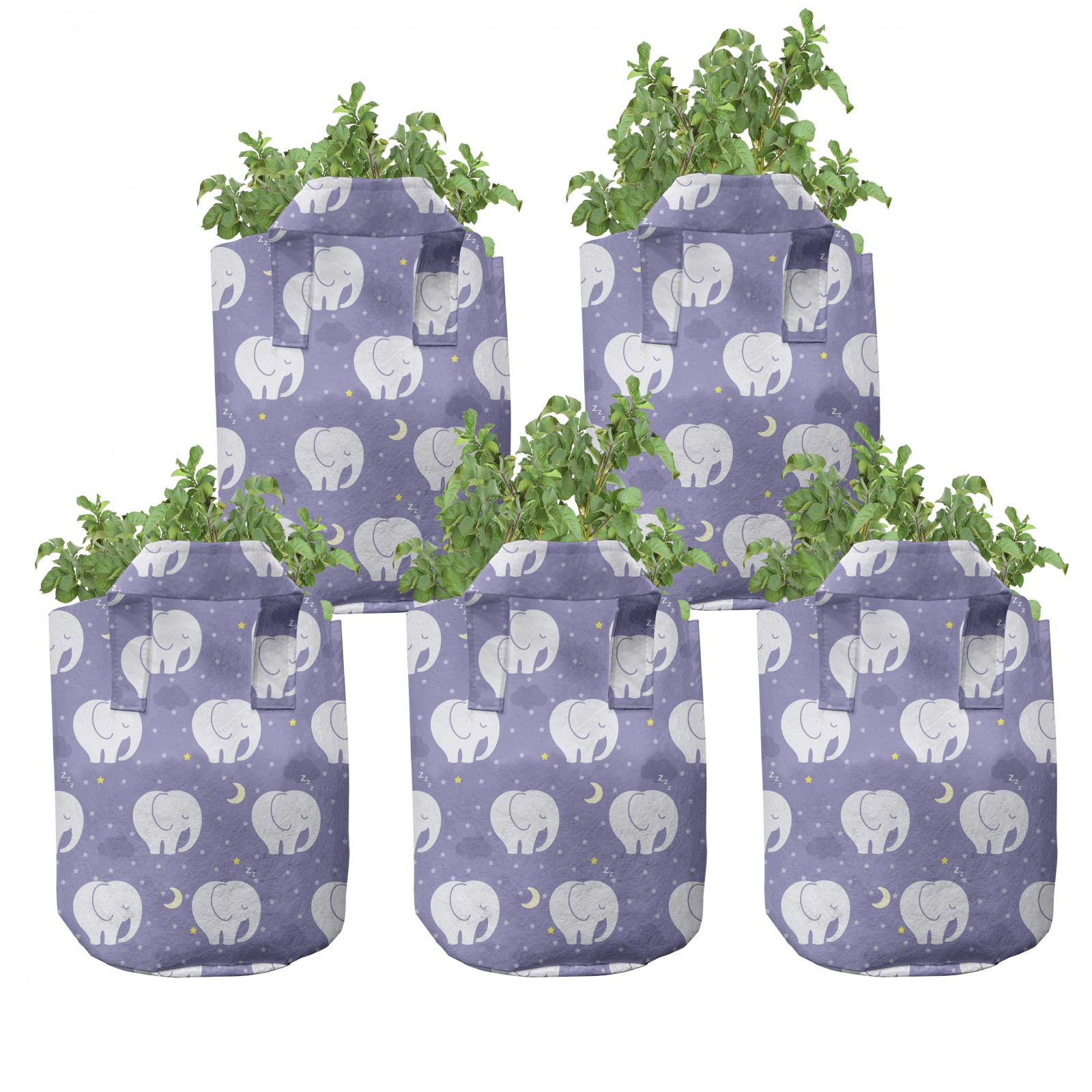 Elefantenohr "Alocasia odora" Dekorative Zimmerpflanze für Geschäftsräume.