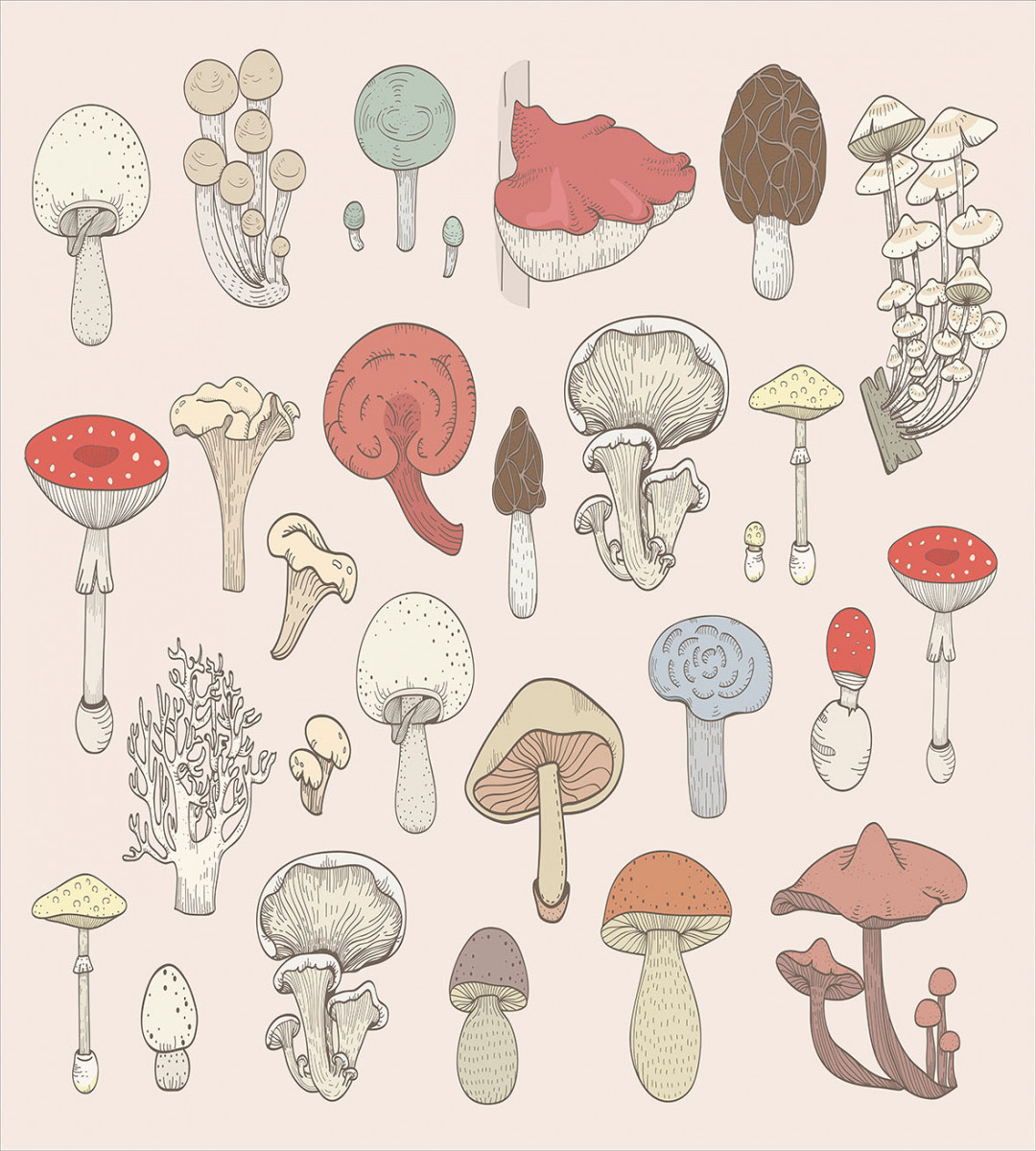 Pastel Various Mushrooms Duvet Cover Set