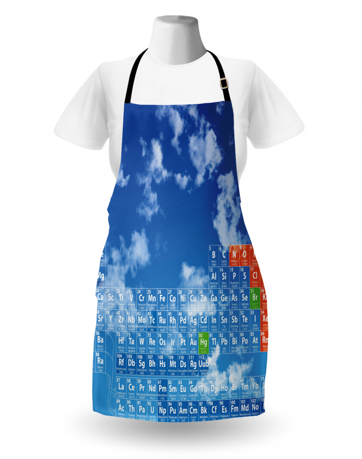 Ambesonne Apron Unisex Kitchen Bib with Adjustable Strap for Cooking