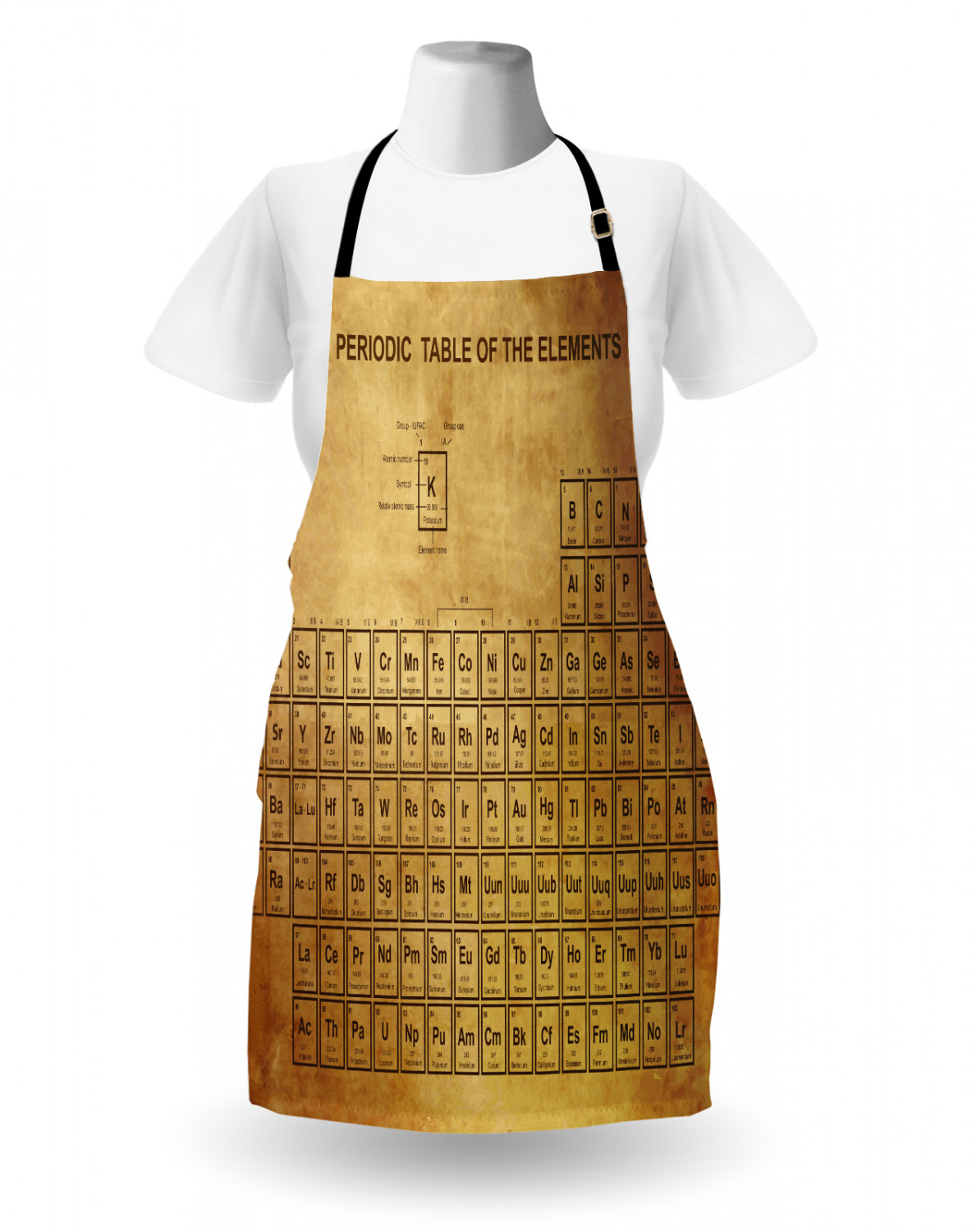 Ambesonne Apron Unisex Kitchen Bib with Adjustable Strap for Cooking