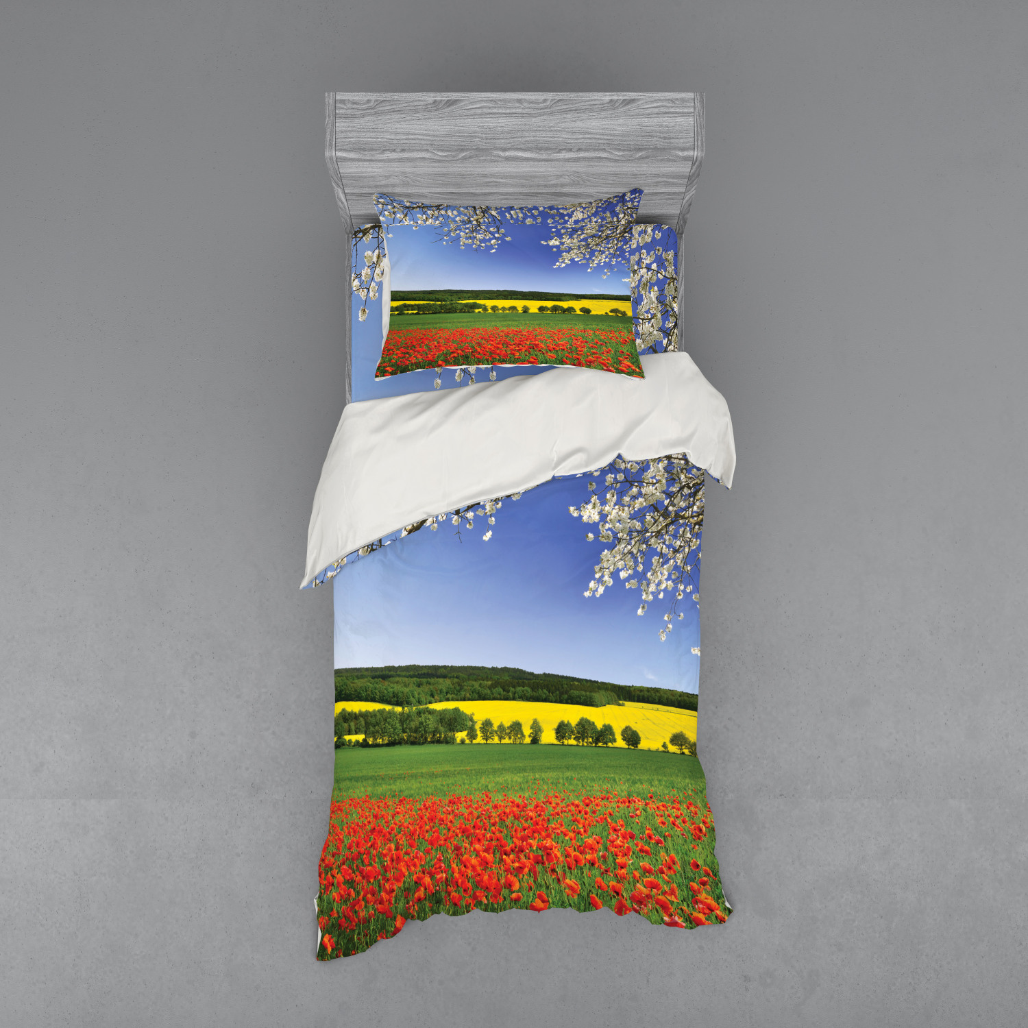 Bild 173 von 244