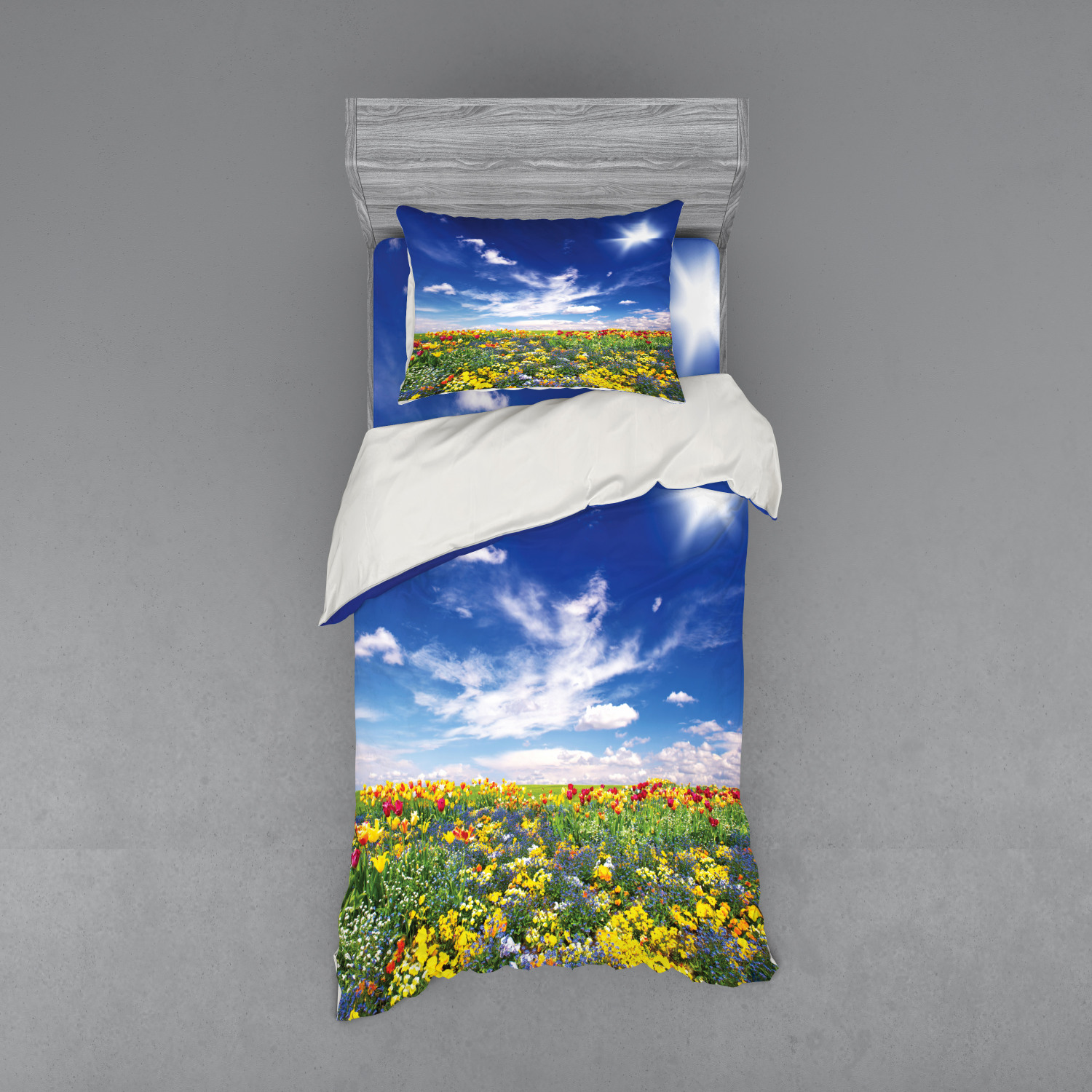 Bild 105 von 244