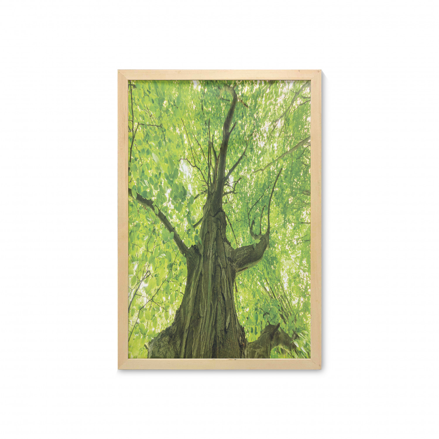 Ambesonne Country Wall Art with Frame for Bathrooms Living Room Dorms - Picture 66 of 123