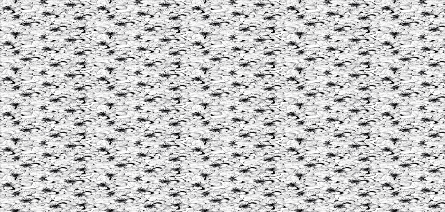 Bild 156 von 244
