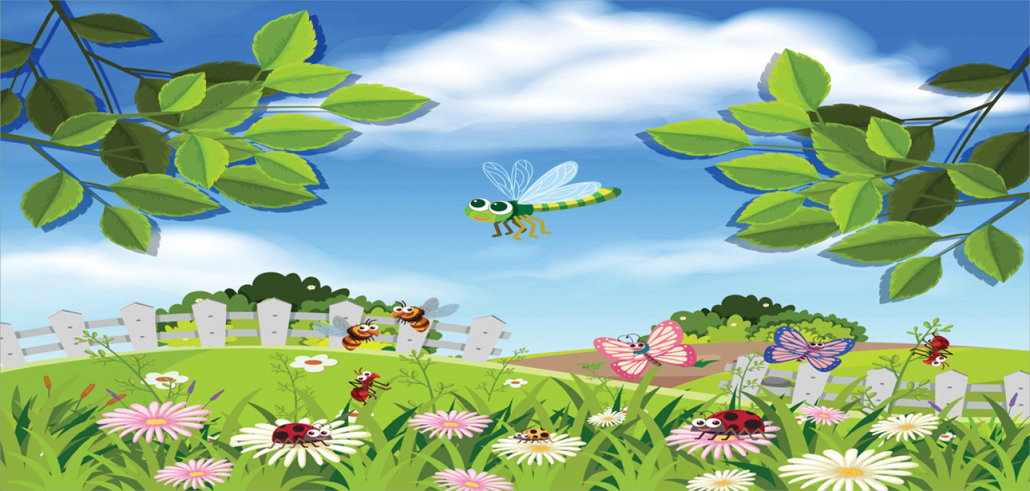 Bild 192 von 244
