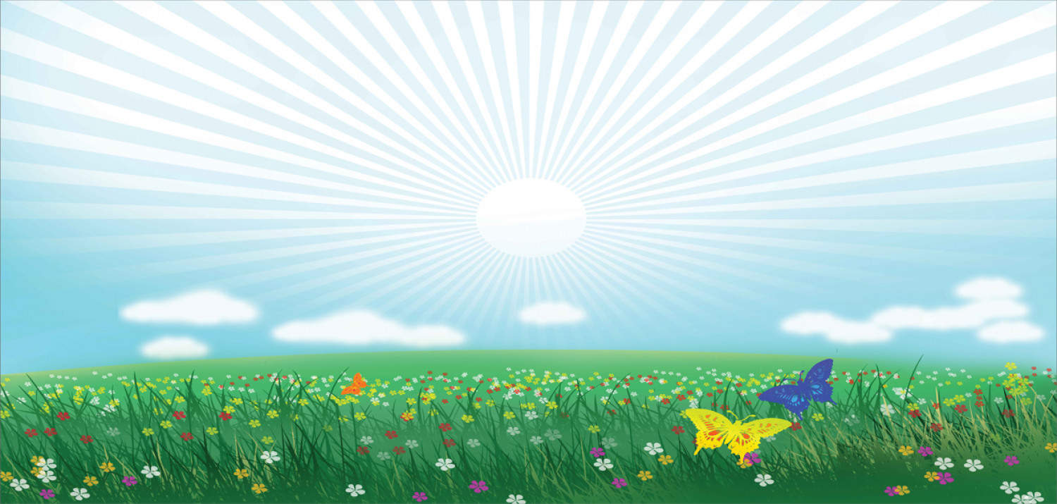 Bild 68 von 244