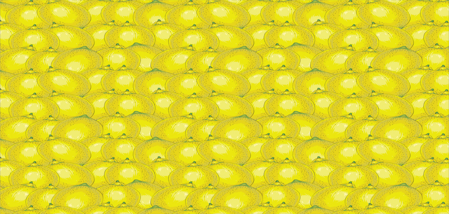 Ambesonne Lemons Pattern Ceramic Coffee Mug Cup for Water Tea Drinks, 11 oz - Picture 180 of 244