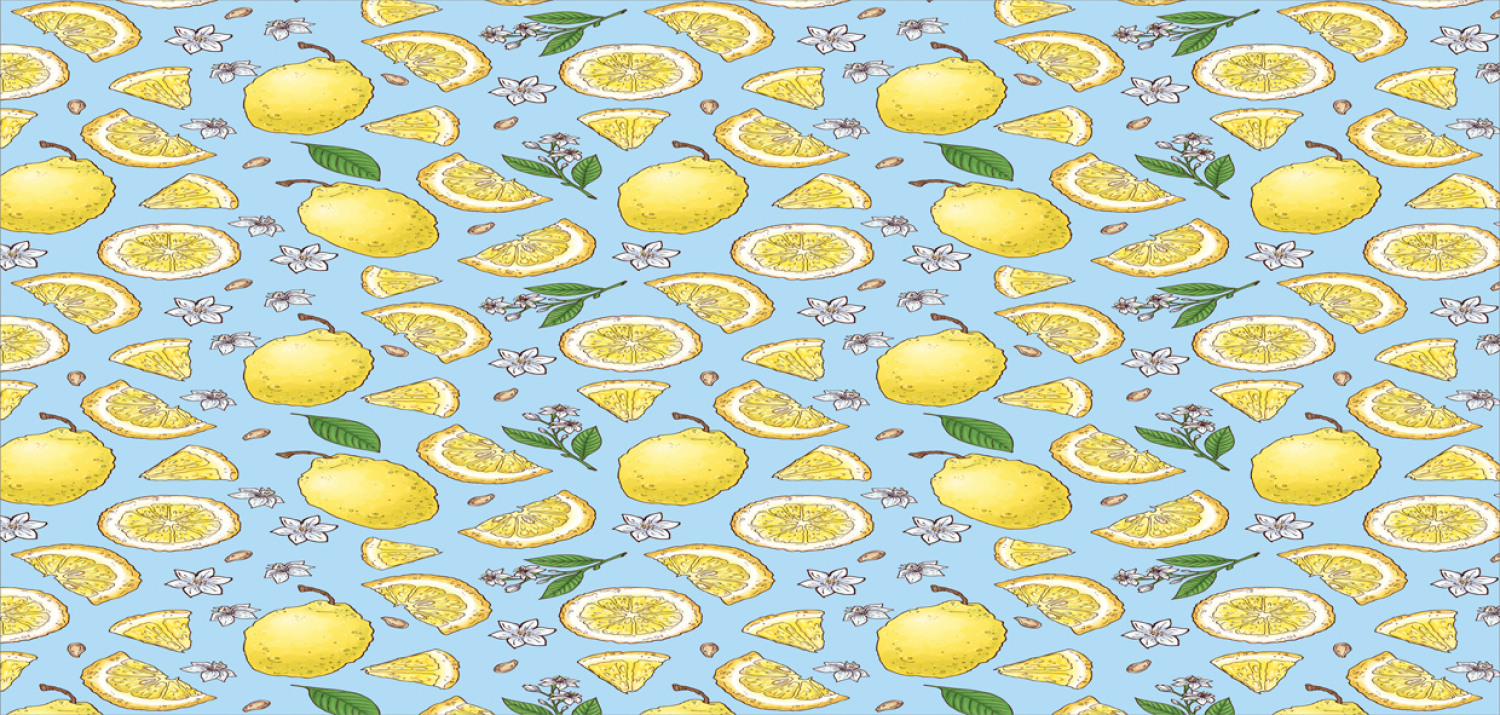 Ambesonne Lemons Pattern Ceramic Coffee Mug Cup for Water Tea Drinks, 11 oz - Picture 72 of 244