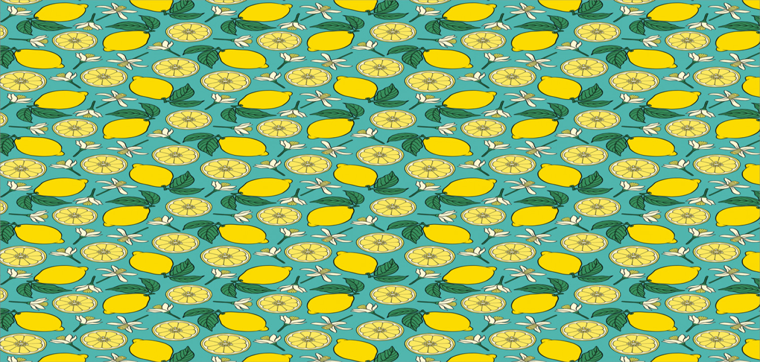 Ambesonne Lemons Pattern Ceramic Coffee Mug Cup for Water Tea Drinks, 11 oz - Picture 176 of 244