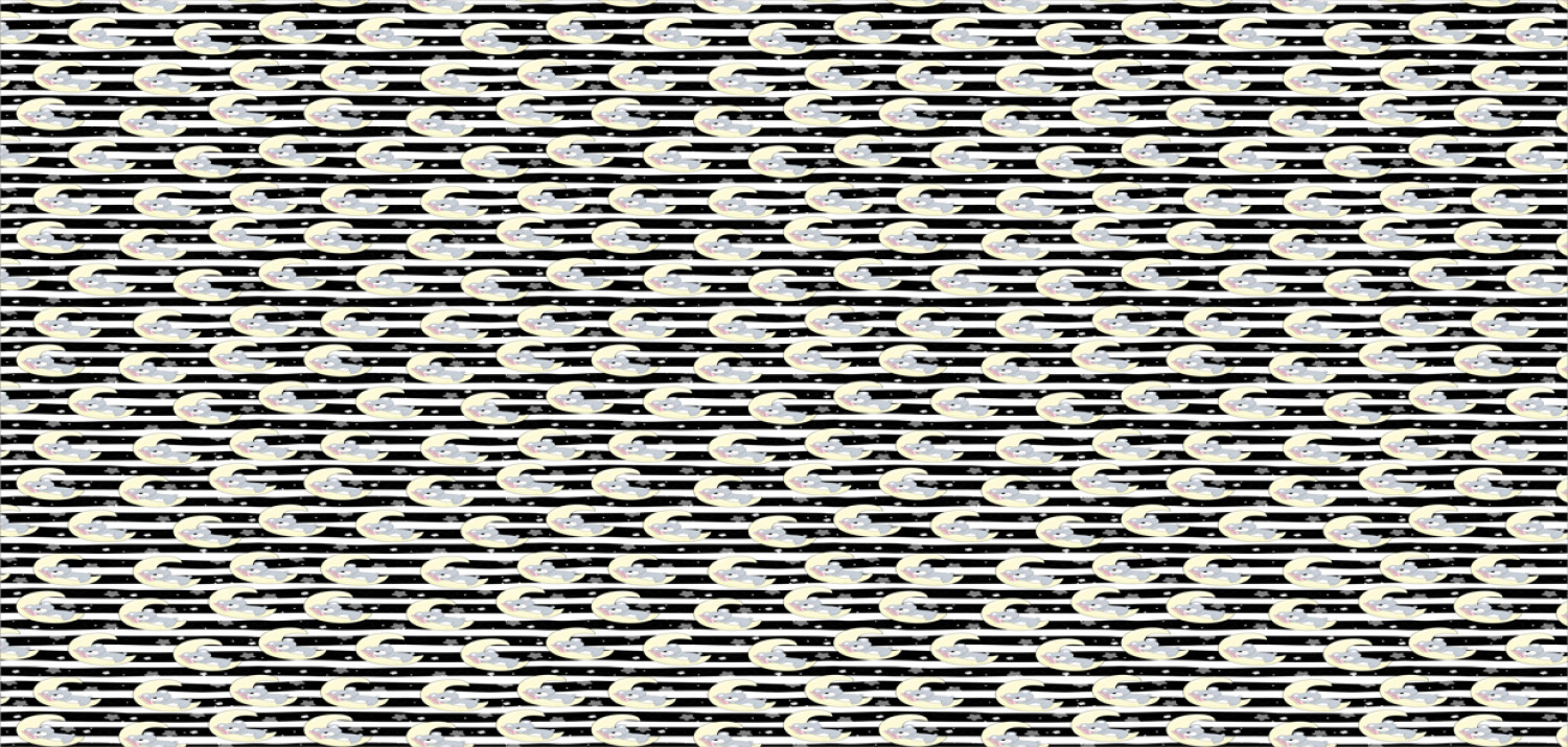 Afbeelding 20 van 244