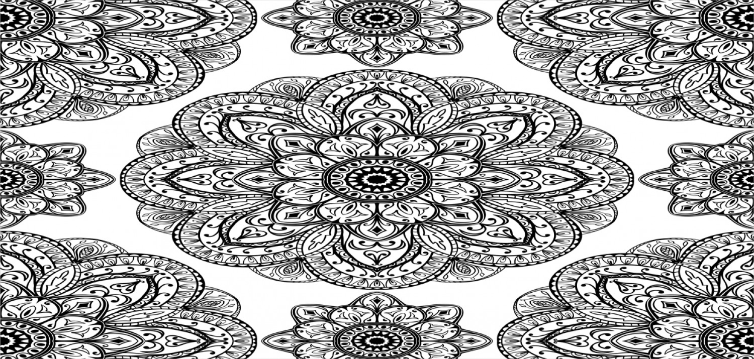 Bild 164 von 244