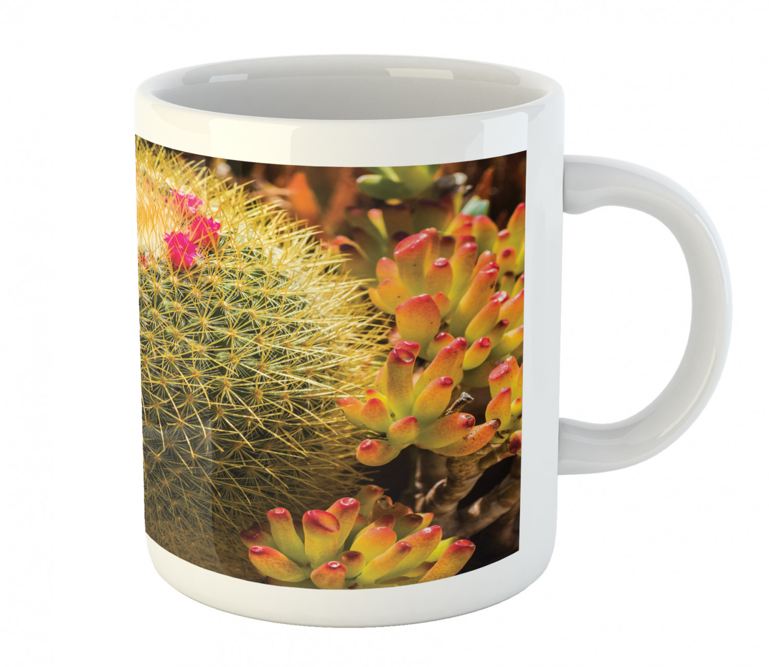 Ambesonne Flower Nature Ceramic Coffee Mug Cup for Water Tea Drinks, 11 oz - Picture 42 of 244