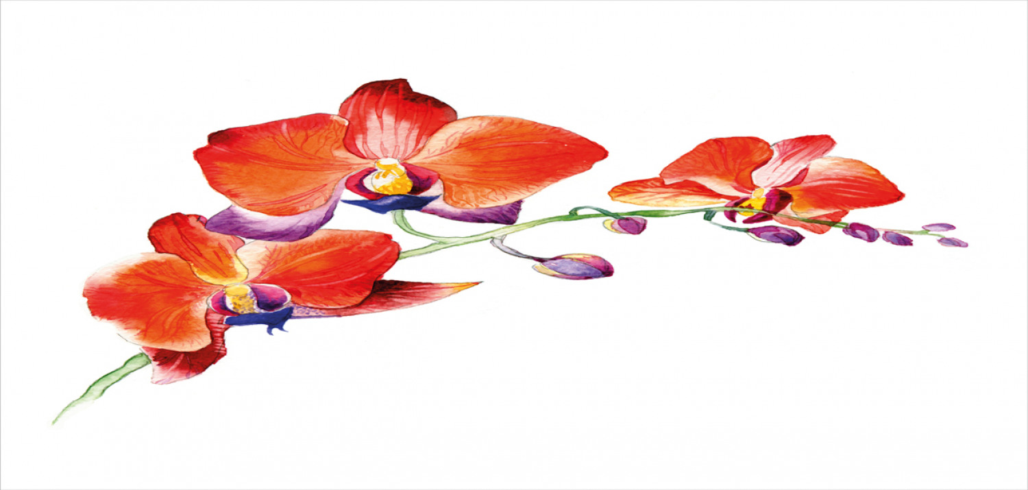 Ambesonne Flower Nature Ceramic Coffee Mug Cup for Water Tea Drinks, 11 oz - Picture 132 of 244