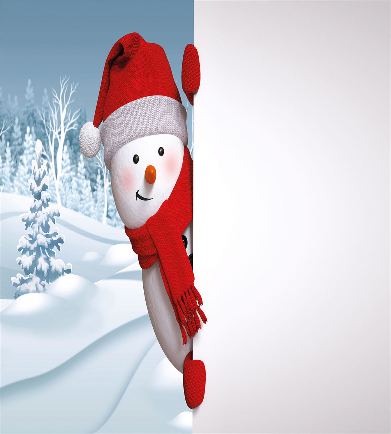 Snowman Duvet Cover Set Twin Queen King Sizes with Pillow Shams