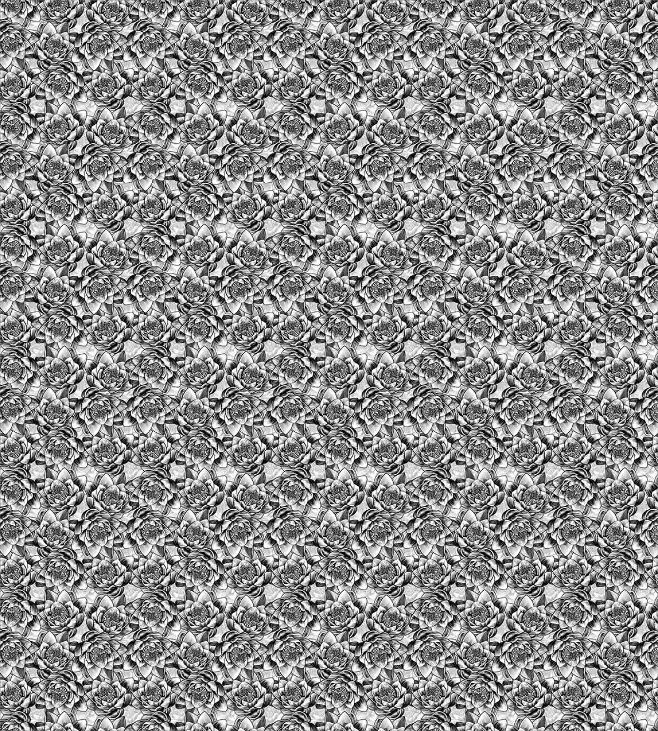 Bild 80 von 81