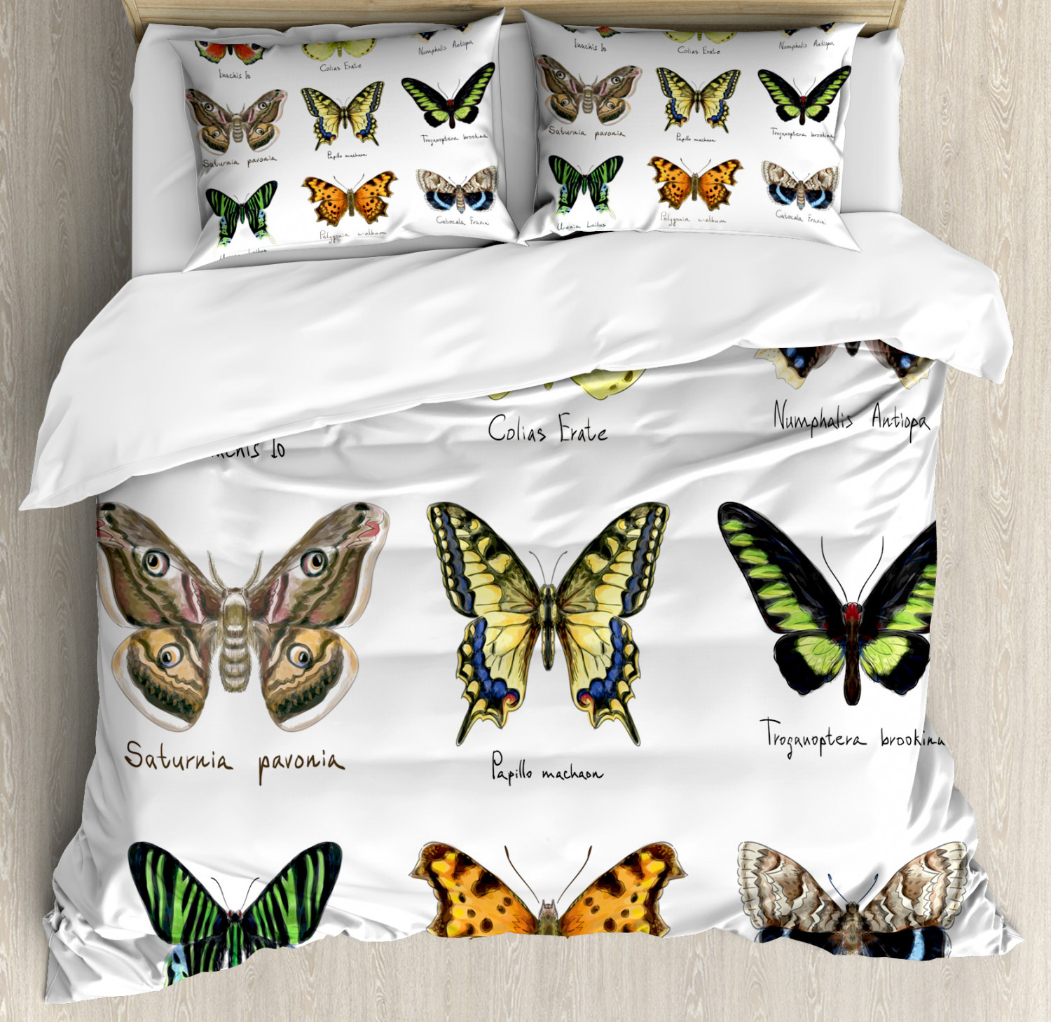 Monarch Butterfly Print Butterfly Quilted Bedspread & Pillow Shams Set 