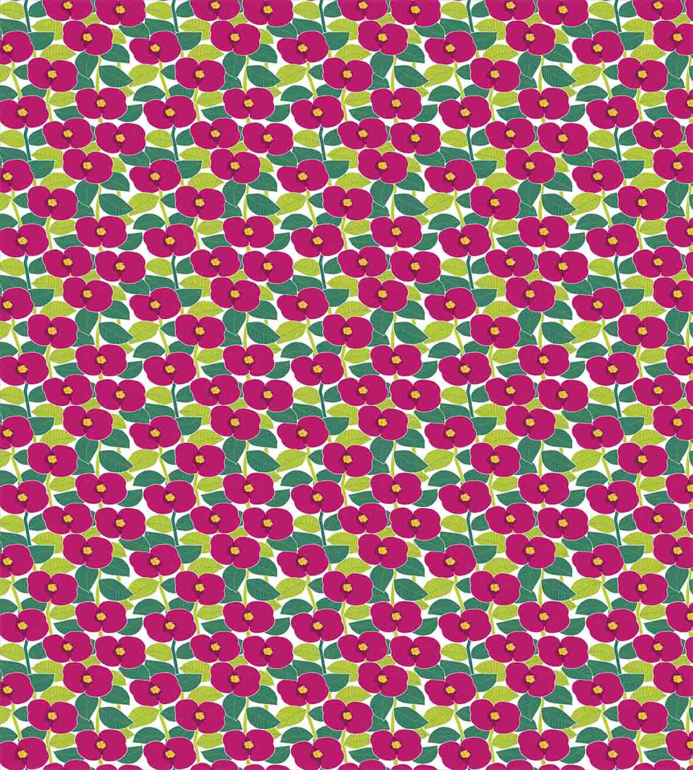 Bild 59 von 66