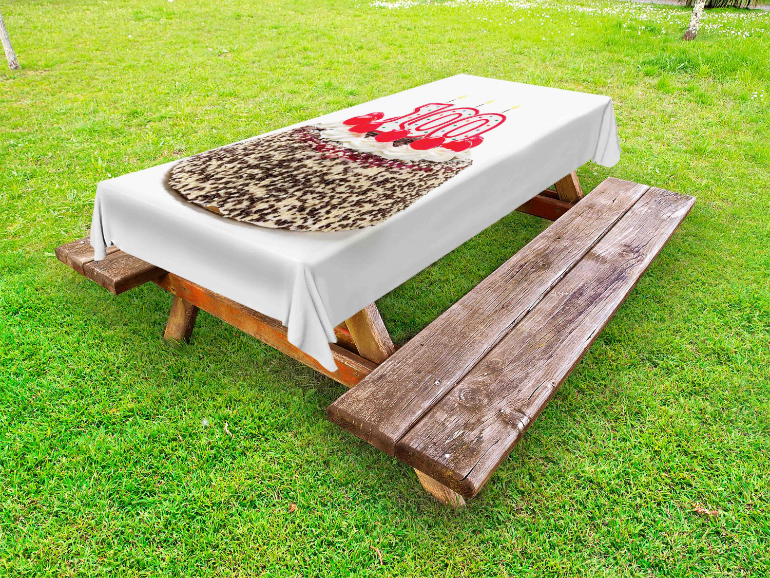 100th Birthday Outdoor Picnic Tablecloth in 3 Sizes Washable Waterproof - Picture 25 of 28