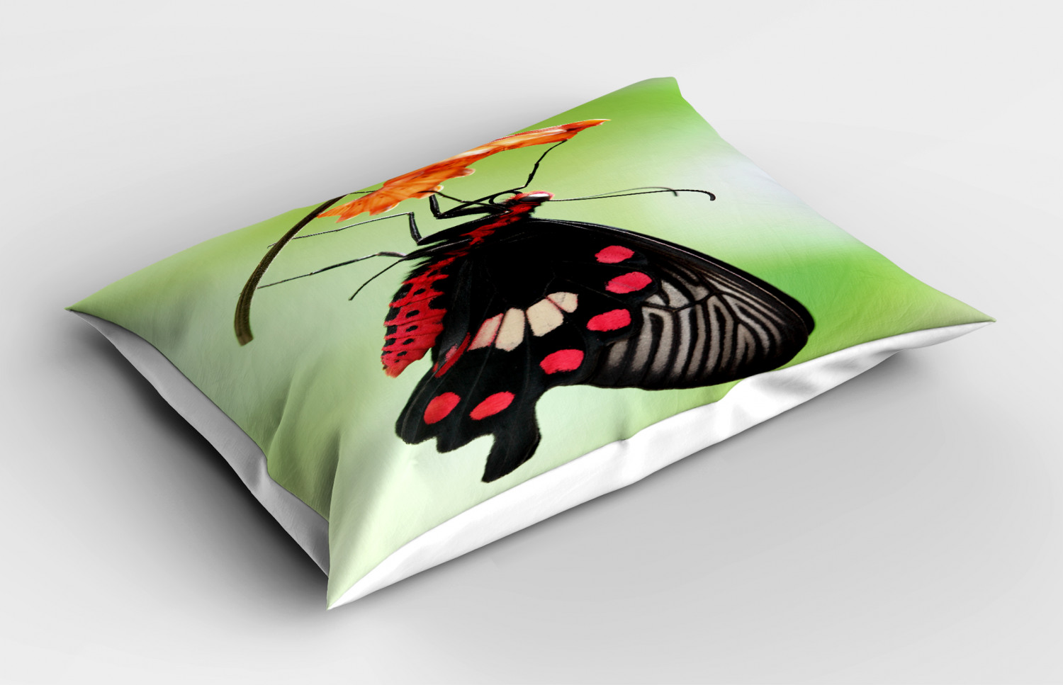 butterfly pillow pet night light