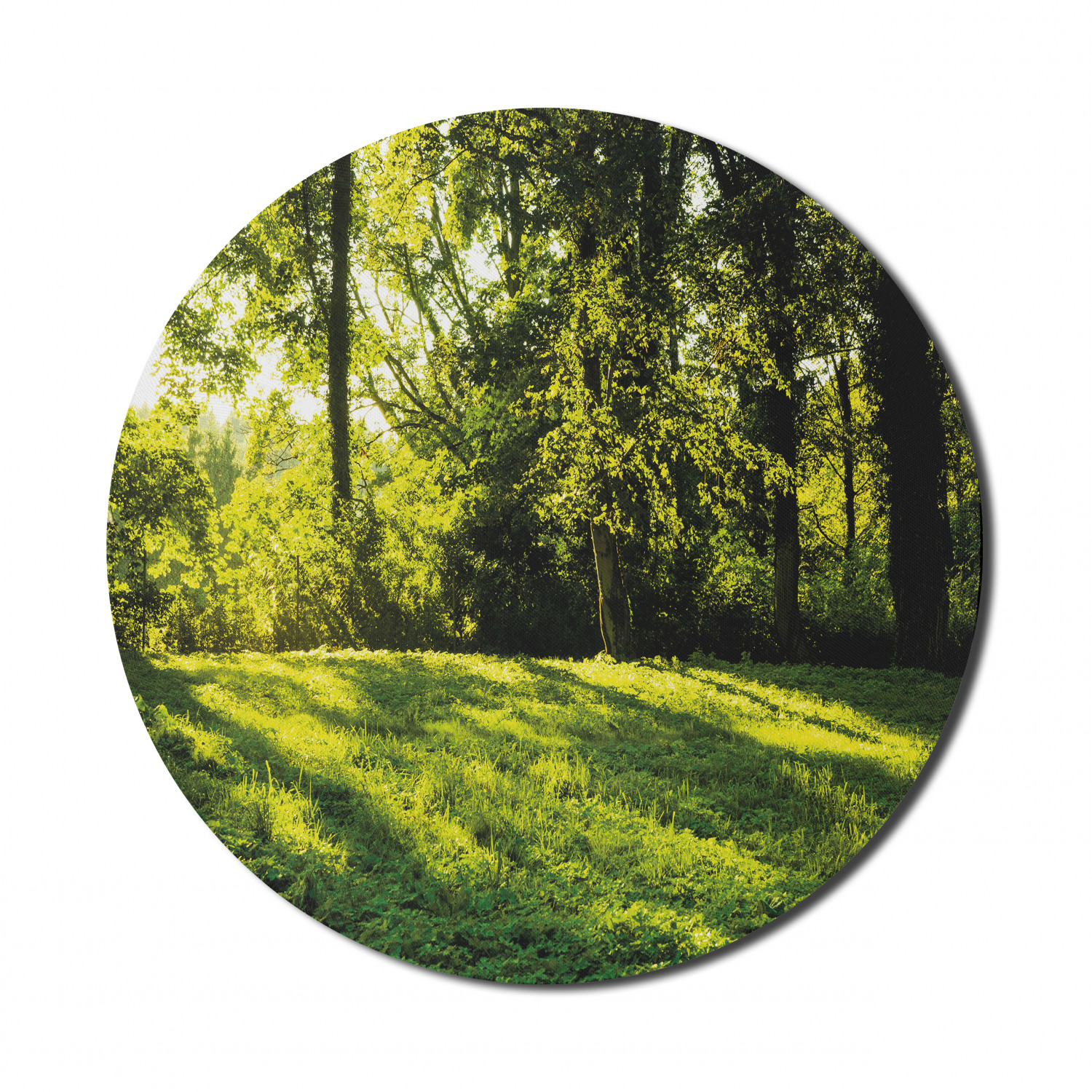 Ambesonne Green Print Round Non-Slip Rubber Modern Gaming Mousepad, 8" - Picture 90 of 123