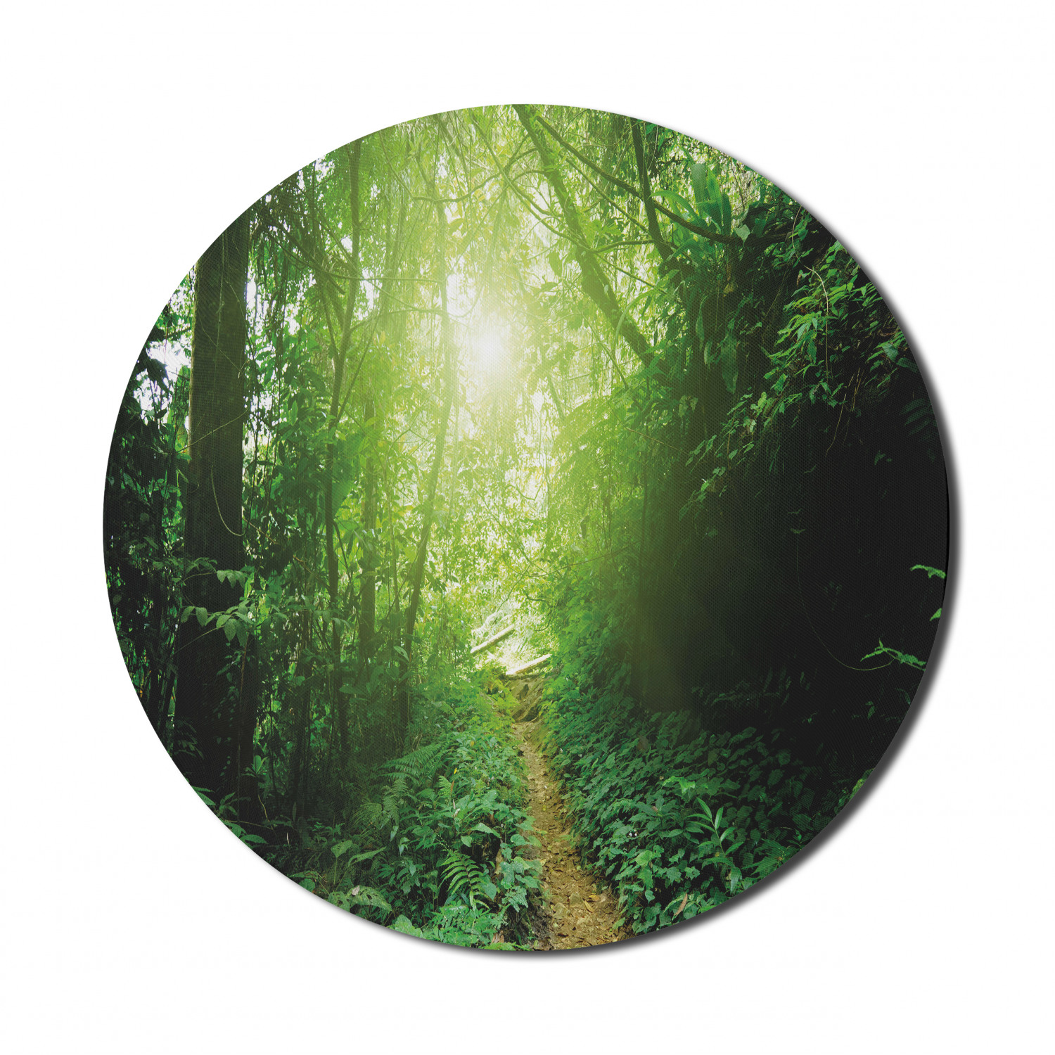 Ambesonne Green Print Round Non-Slip Rubber Modern Gaming Mousepad, 8" - Picture 120 of 123