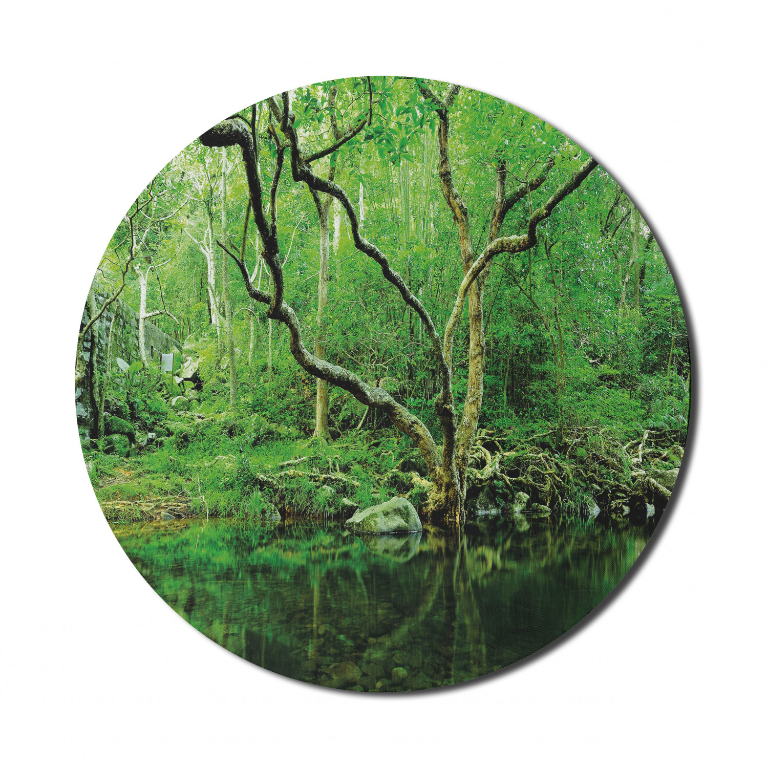 Ambesonne Green Print Round Non-Slip Rubber Modern Gaming Mousepad, 8" - Picture 64 of 123