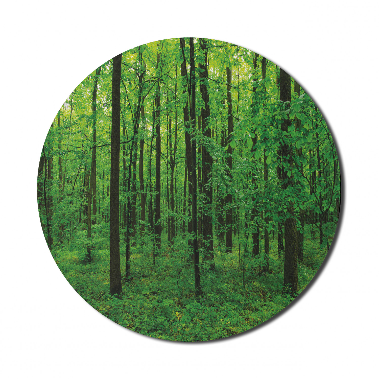 Ambesonne Green Print Round Non-Slip Rubber Modern Gaming Mousepad, 8" - Picture 92 of 123
