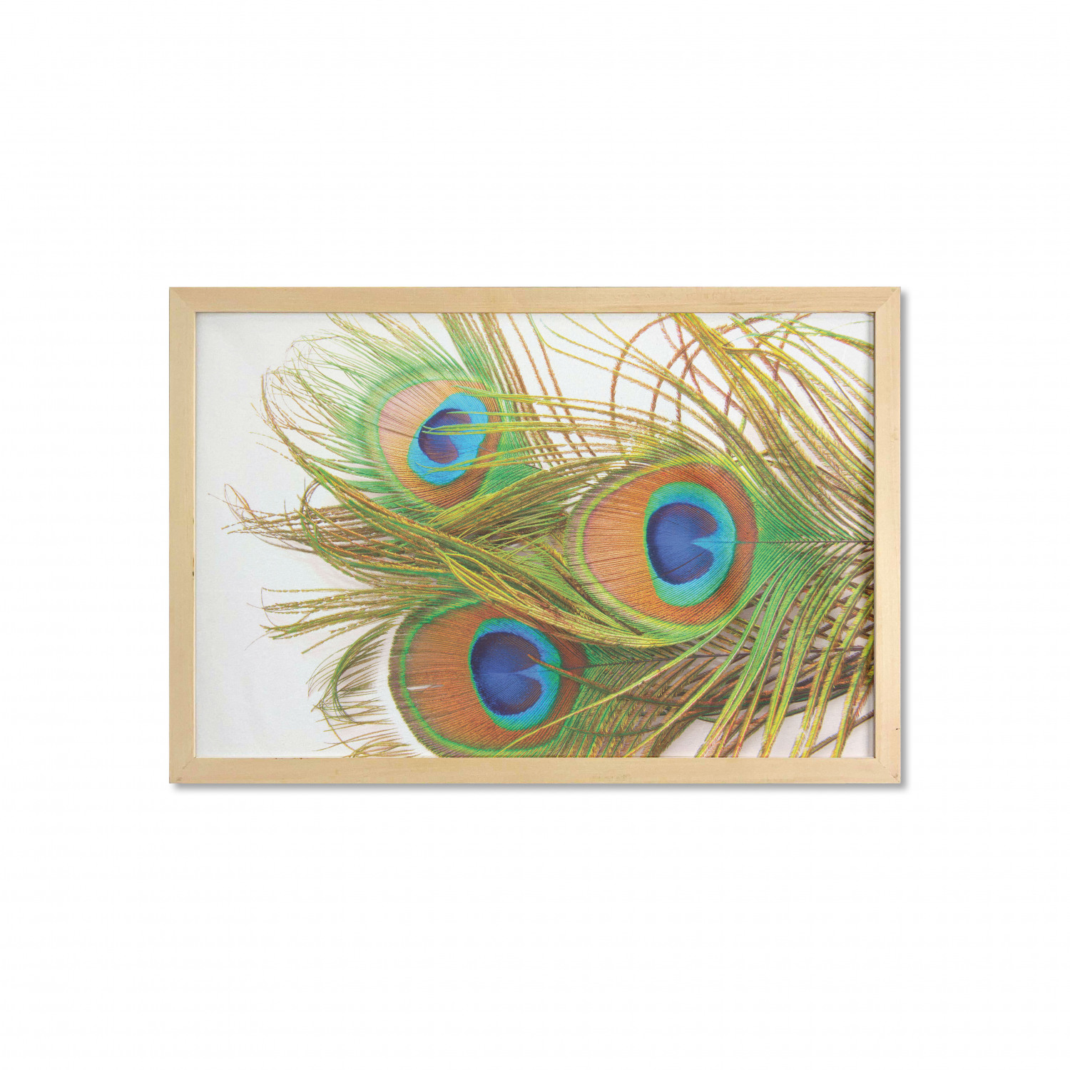 Ambesonne Spring Wall Art with Wide Frame for Bathrooms Living Room - Picture 62 of 121