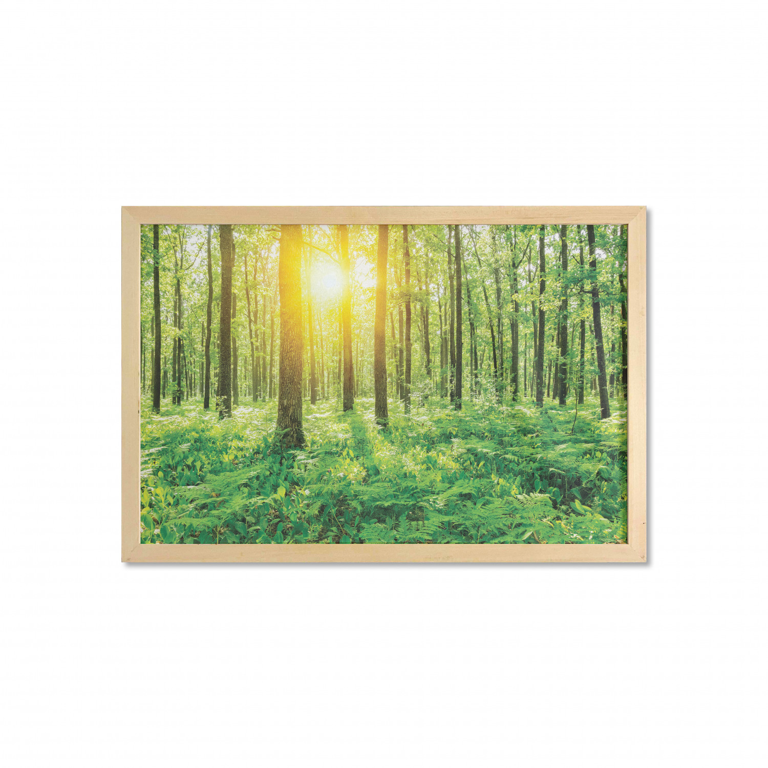 Ambesonne Spring Wall Art with Wide Frame for Bathrooms Living Room - Picture 50 of 121