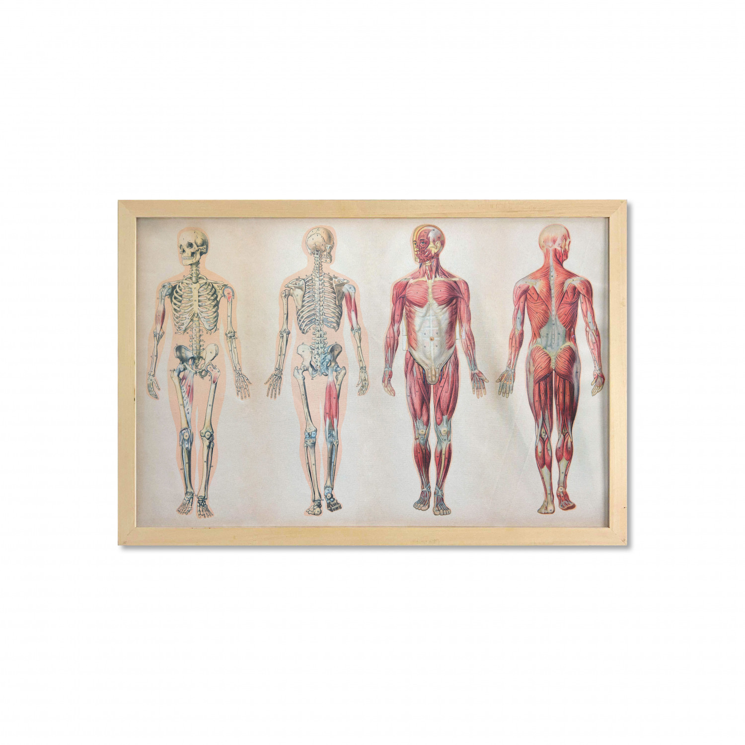 Ambesonne Vintage Themed Wall Art with Wide Frame for Bathrooms Living Room - Picture 10 of 123