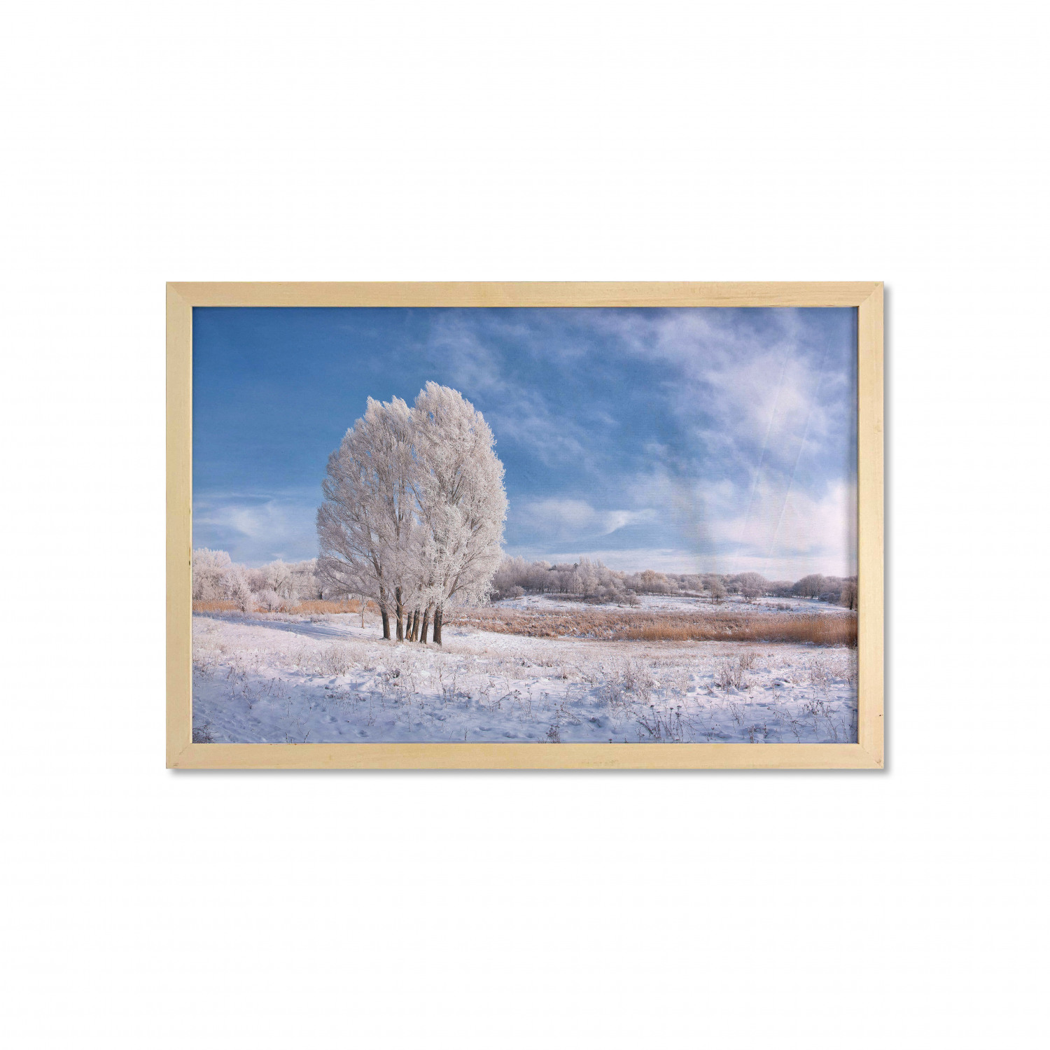Bild 120 von 123