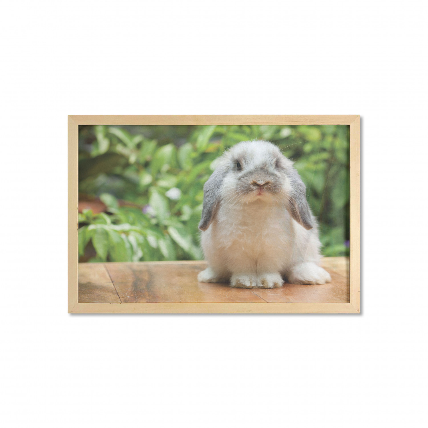 Ambesonne Bunny Wall Art with Wide Frame for Bathrooms Living Room - Picture 86 of 123