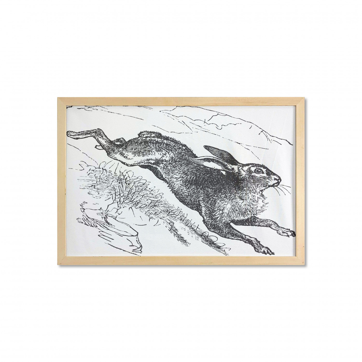 Ambesonne Bunny Wall Art with Wide Frame for Bathrooms Living Room - Picture 104 of 123