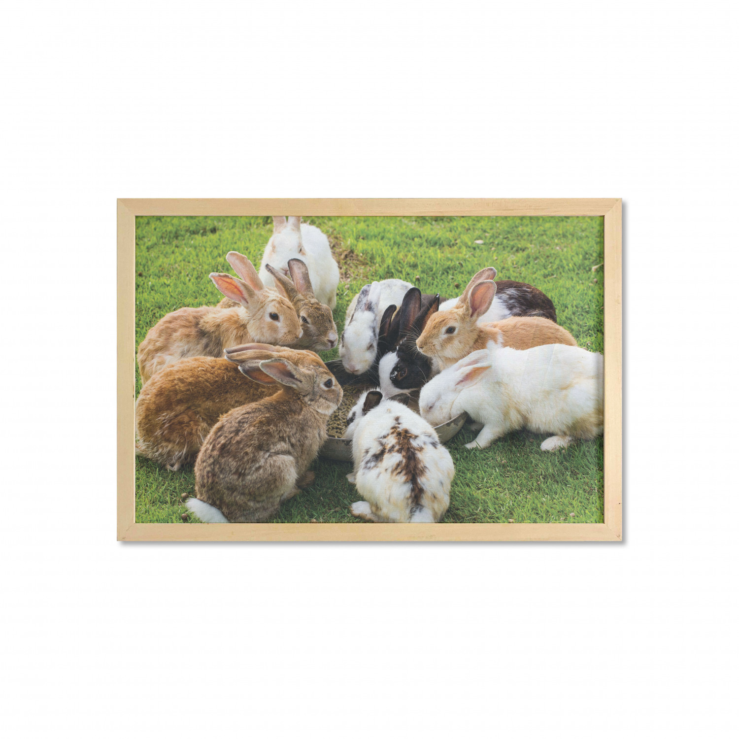 Ambesonne Bunny Wall Art with Wide Frame for Bathrooms Living Room - Picture 96 of 123