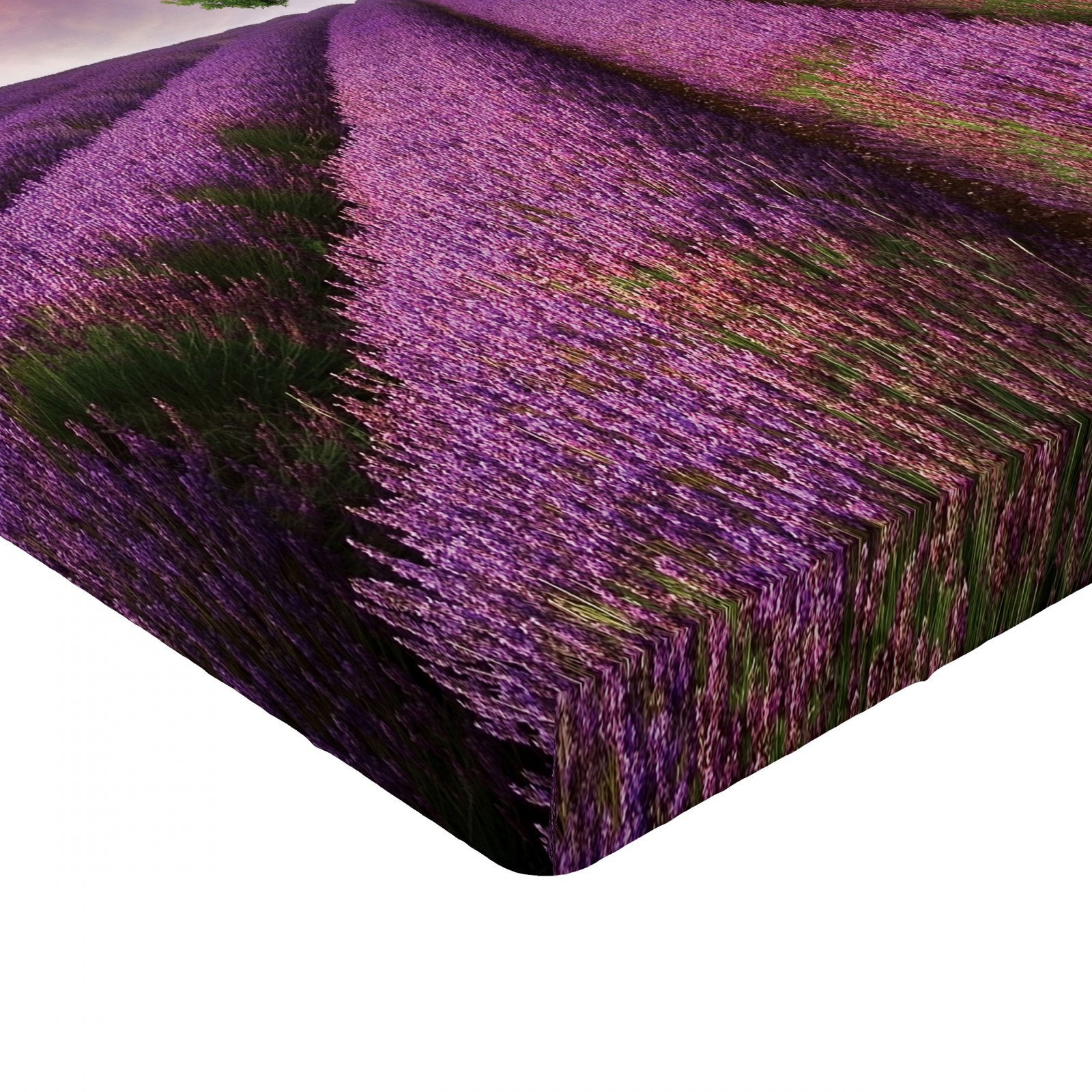 Purple Fitted Sheet Lavender Fields and Tree