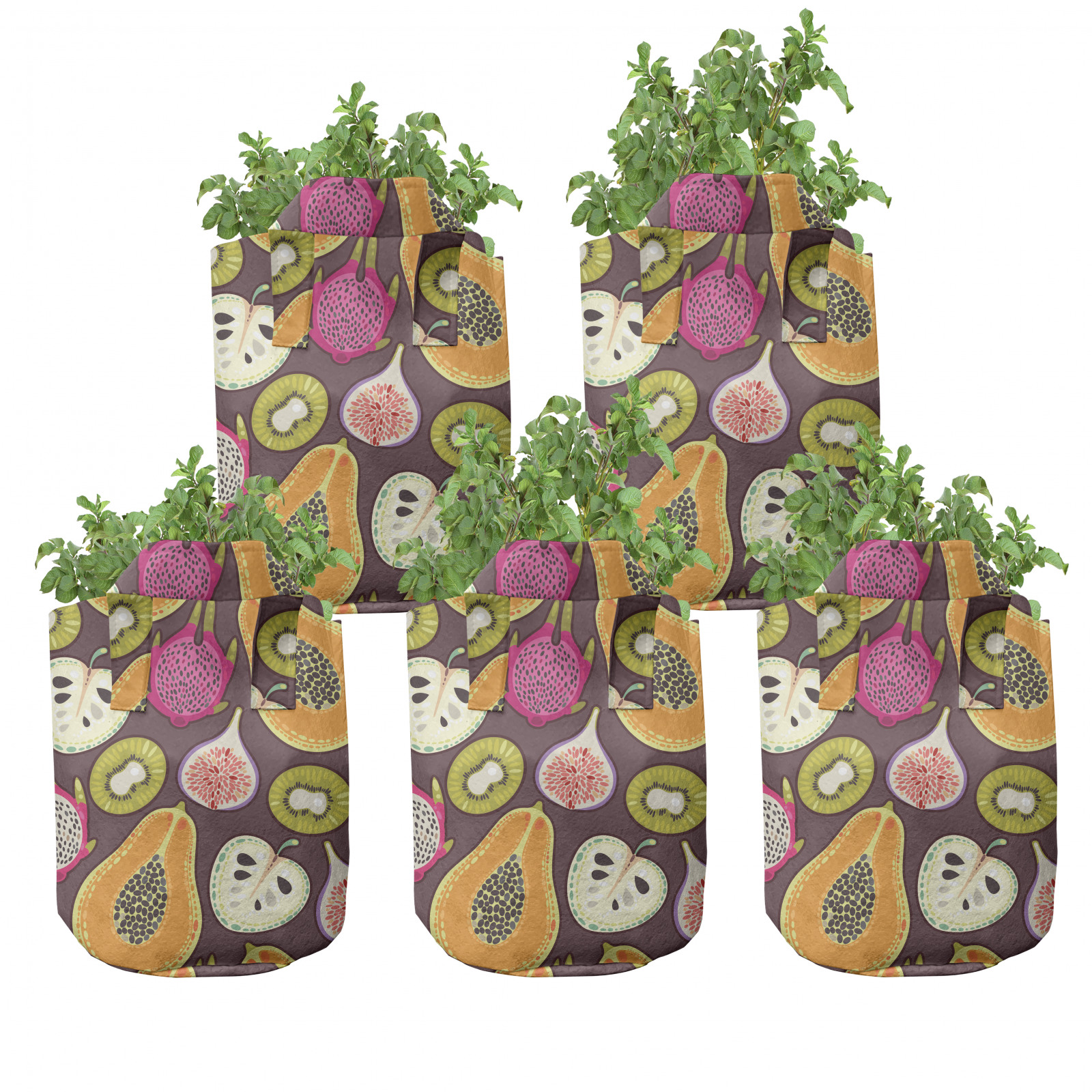 Frucht-Kunst 5er Set Stofftöpfe Stofftaschen Kiwi Fig Papaya Pitaya