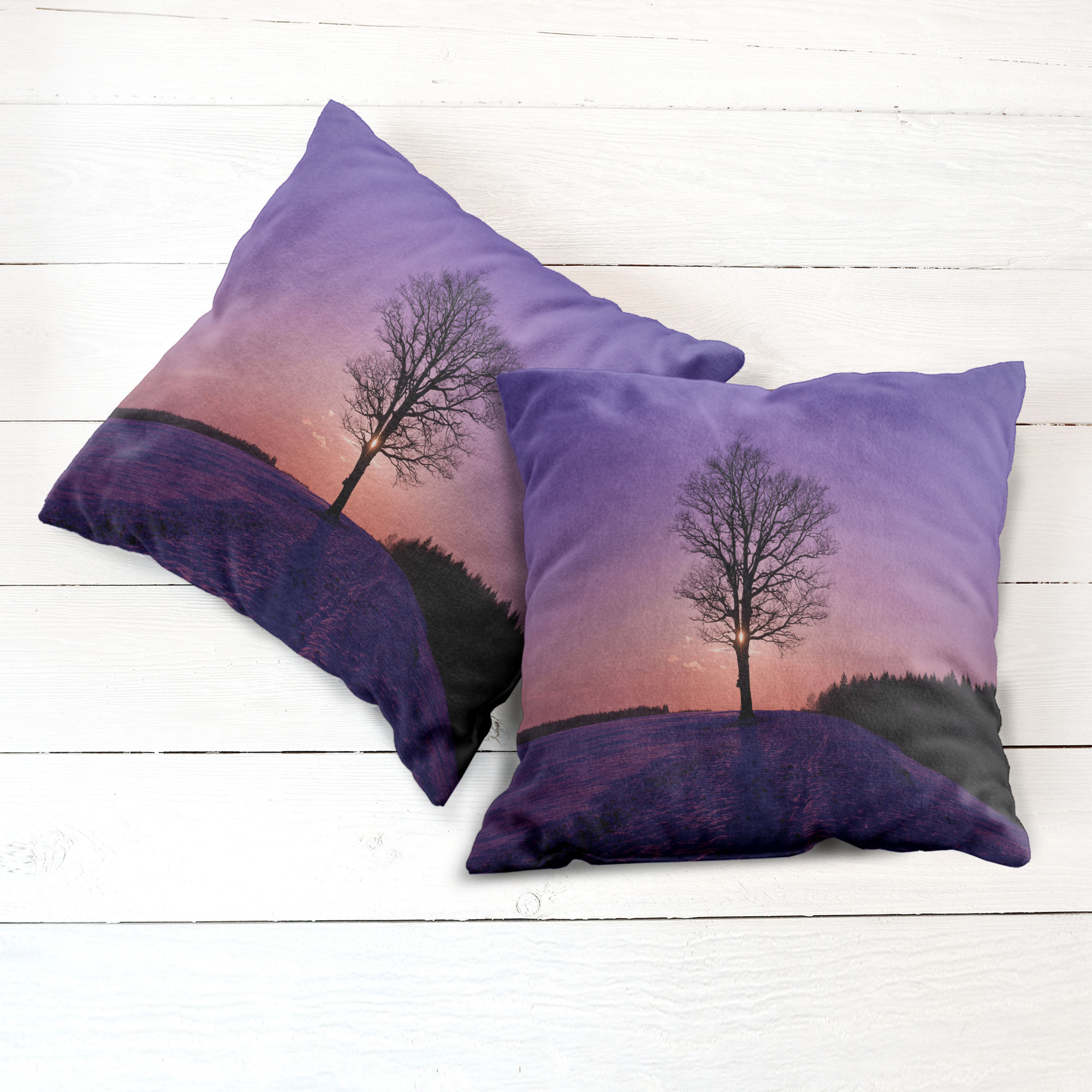 Ambesonne Tree Bloom Cushion Cover Set of 2 for Couch and Bed in 4 Sizes - Picture 122 of 220