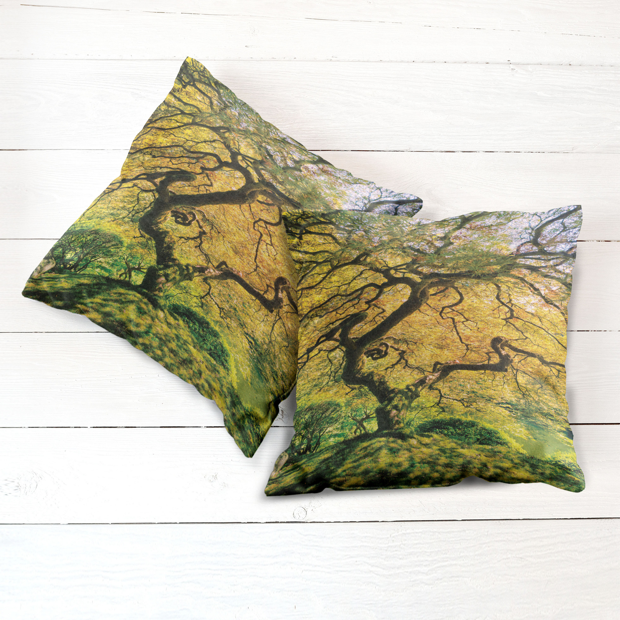 Ambesonne Tree Bloom Cushion Cover Set of 2 for Couch and Bed in 4 Sizes - Picture 80 of 220