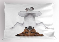 Meditasyon Yapan Köpek Yastık Kılıfı Meditasyon Beyaz