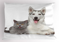 Kedi Köpek Dostluğu Yastık Kılıfı Kedi Köpek