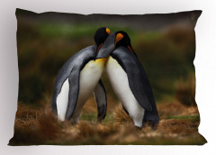 Sarılan Penguenler Yastık Kılıfı Kuş Hayvan Doğa