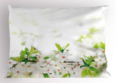 Beyaz Bahar Çiçekleri Yastık Kılıfı Yaprak Doğa