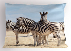 Zebra Desenli Yastık Kılıfı Afrika'da Yaşam Temalı