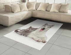 Kedi Köpek Dostluğu Halı (Kilim) Kedi Köpek