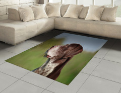 Uzaklara Bakan Köpek Halı (Kilim) Kahverengi