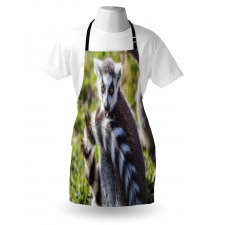 Ring Tailed Funny Expression Apron