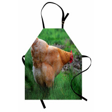 Chicken on Grass Farm Photo Apron