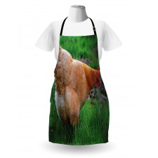 Chicken on Grass Farm Photo Apron