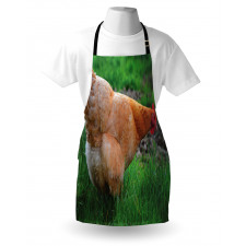 Chicken on Grass Farm Photo Apron