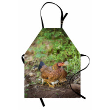 Chicken on Babies Apron